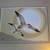 Modern Wall Art Painted Framed Seagulls--Artist Brett 3 thumbnail