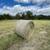 Hay Bales Round Bales 1 thumbnail
