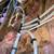 Espinoza drain cleaning all plumbing needs 21 thumbnail