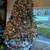Christmas Tree 3 thumbnail