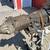 2000 Jeep Cherokee XJ AW4 Trans and 231 Transfer case 2 thumbnail