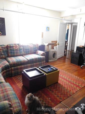 $2,095 / 1br - *NO FEE* Lots of space, amazing location, DW *NOW* (Allston)63699313851267121
