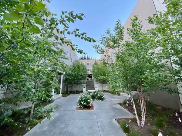 Spacious & Quiet  2 Bd /1 Bath Unit with Deck 1