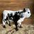 Belted Galloway And Jennies 1 thumbnail