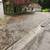 Window cleaning, gutter cleaning, expert pressure  washing. 12 thumbnail