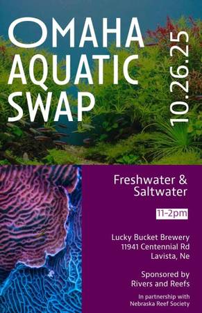 Fish swap meet 1