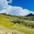 Incredible views in a gated community with so much to offer! 25-481 4 thumbnail