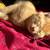 Kittens 6 thumbnail