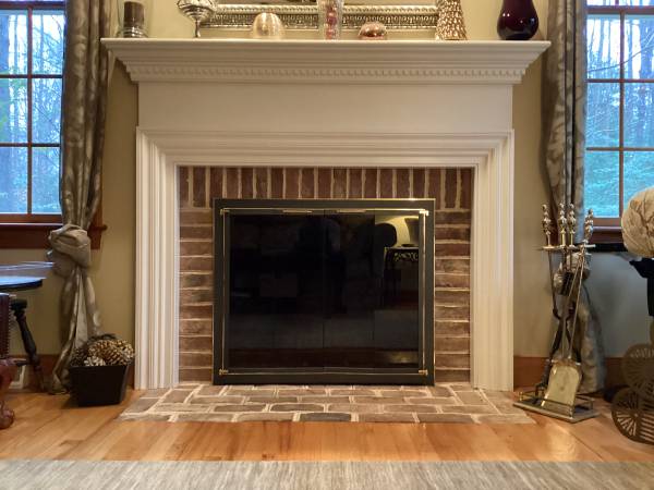 Fireplace doors 1