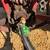 Sprayer 7 thumbnail