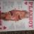 Playboy magazine s total of 12 from 1978-1979 2 thumbnail