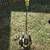Ryobi 40v edger 4 thumbnail