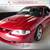 1995 Ford Saleen Mustang  for 2 thumbnail