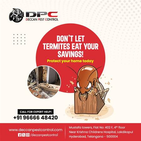 Best Termite Control Services in Hyderabad 1