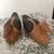 decorative duck wood carvings 1 thumbnail