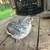 Quail Hatching Eggs - 30 Eggs - NPIP Certified (55-2098) 8 thumbnail