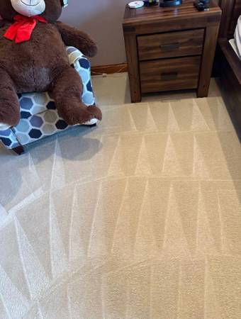 Professional Carpet Cleaning-Premium Service At The Best Price 20% OFF 1