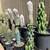Cactus & Succulent Collection for Sale 1 thumbnail