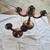 ROSE WOOD CANDLE HOLDERS CANDELABRA 4 thumbnail