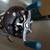 vintage PENN fishing reel mf109 with original box 3 thumbnail