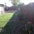Landscape laborer needed for 3 days of work this week 3 thumbnail