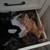 Kittens 6 thumbnail