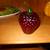 Solid glass strawberry paperweight 2 thumbnail
