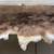 Whitetail Deer Hide Tanned Fur Deerskin Buckskin 4 Different 18 thumbnail