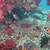 Aquarium and Pond Maintenance and supplies 1 thumbnail