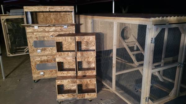 nesting boxes, brooder boxes & chicken coops 1