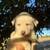 Lab/ Husky Puppies 4 thumbnail