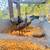 Moutian quail trio 4 thumbnail