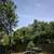 Tree Service • Trimming • Removal • Tree Care • Tree Cutting 4 thumbnail