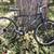 TREK 930 1 thumbnail