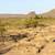 1.5 Acres in Luna County – Power Close By 2 thumbnail