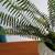 Artificial indoor plant decor 3 thumbnail