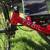 Catrike Trail Recumbent Tricycle 14 thumbnail