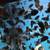 Jack dempsey cichlid fry 3 thumbnail
