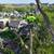 DIVINO LANDSCAPING AND TREE SERVICES 15 thumbnail