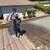 PRESSURE WASHING, ROOF WASHING & HOUSE WASHING & WINDOW CLEANING 2 thumbnail