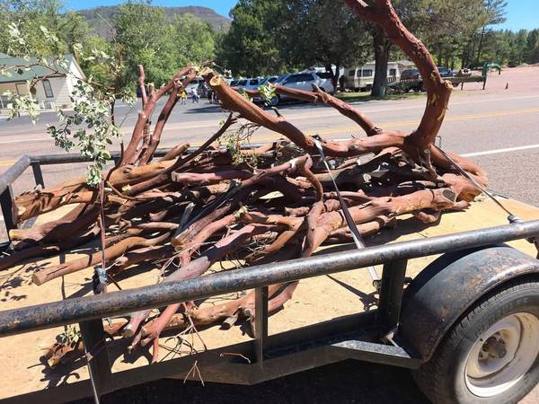 Trailer Load of Manzanita Wood Freshly Harvested 1 Base @ 20" Accross 1