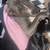 Free dog 5 thumbnail