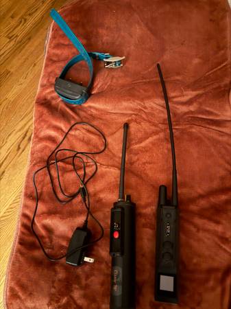 Tritronics and Garmin dog trraining remote and collar 1