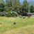 Picturesque Chilliwack River Valley 5 thumbnail