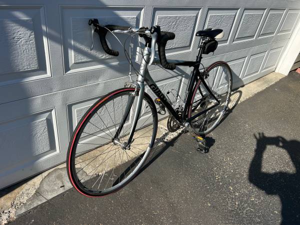 Giant OCR3 1