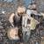 Seasoned & Dried Long Thick Pine Log & Cut Wood Pieces – Free to Take! 1 thumbnail
