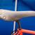 BASSO Bicycle Bike Campagnolo Rims + 17 thumbnail