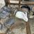 Bunnies 1 thumbnail