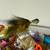 Marabou Fishing jigs 8 thumbnail