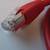NEW in package 3 ft and 6ft cat6 shielded cables starting at$1.50 to 15 thumbnail
